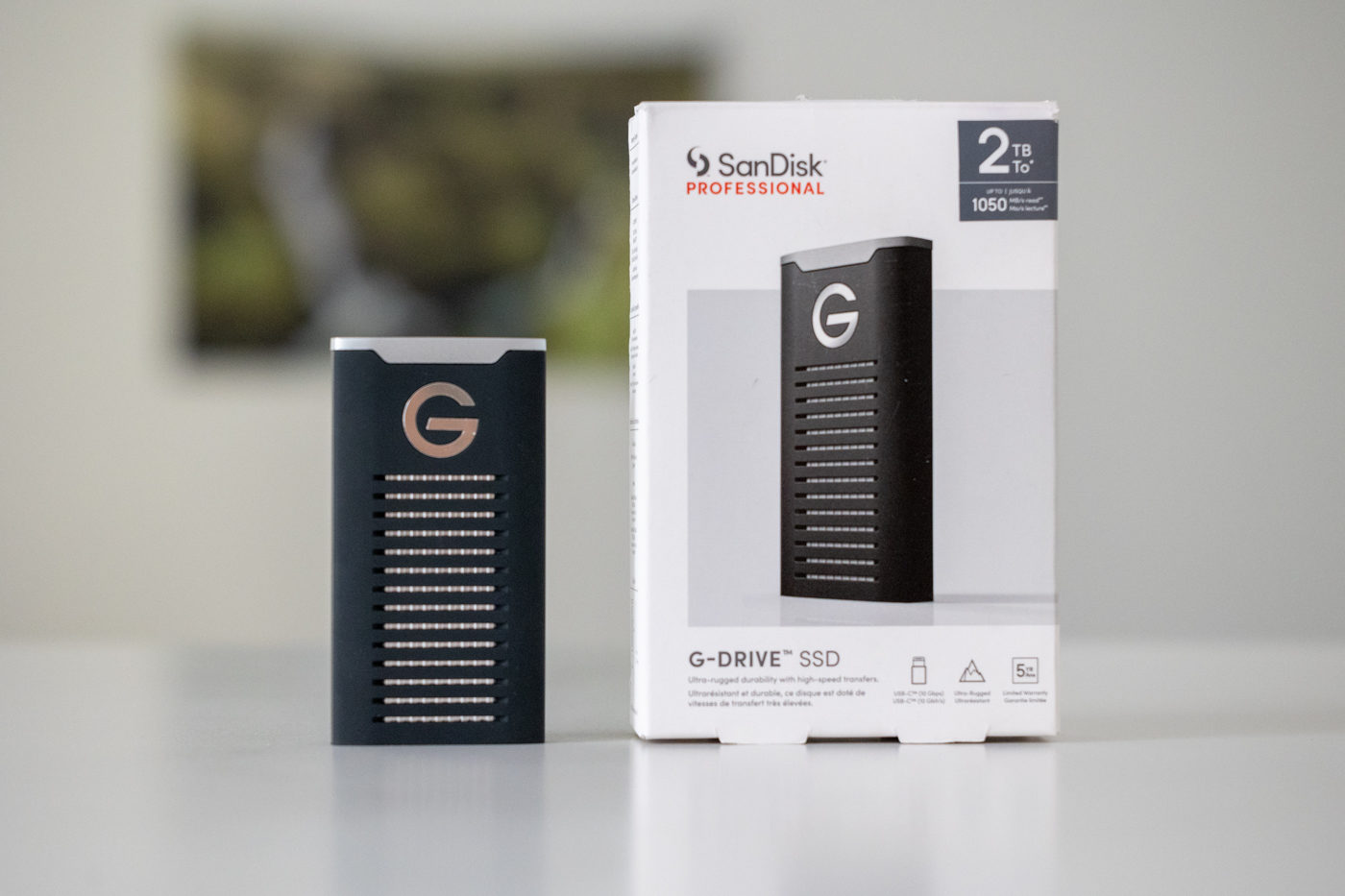 SanDisk Professional G-Drive SSD